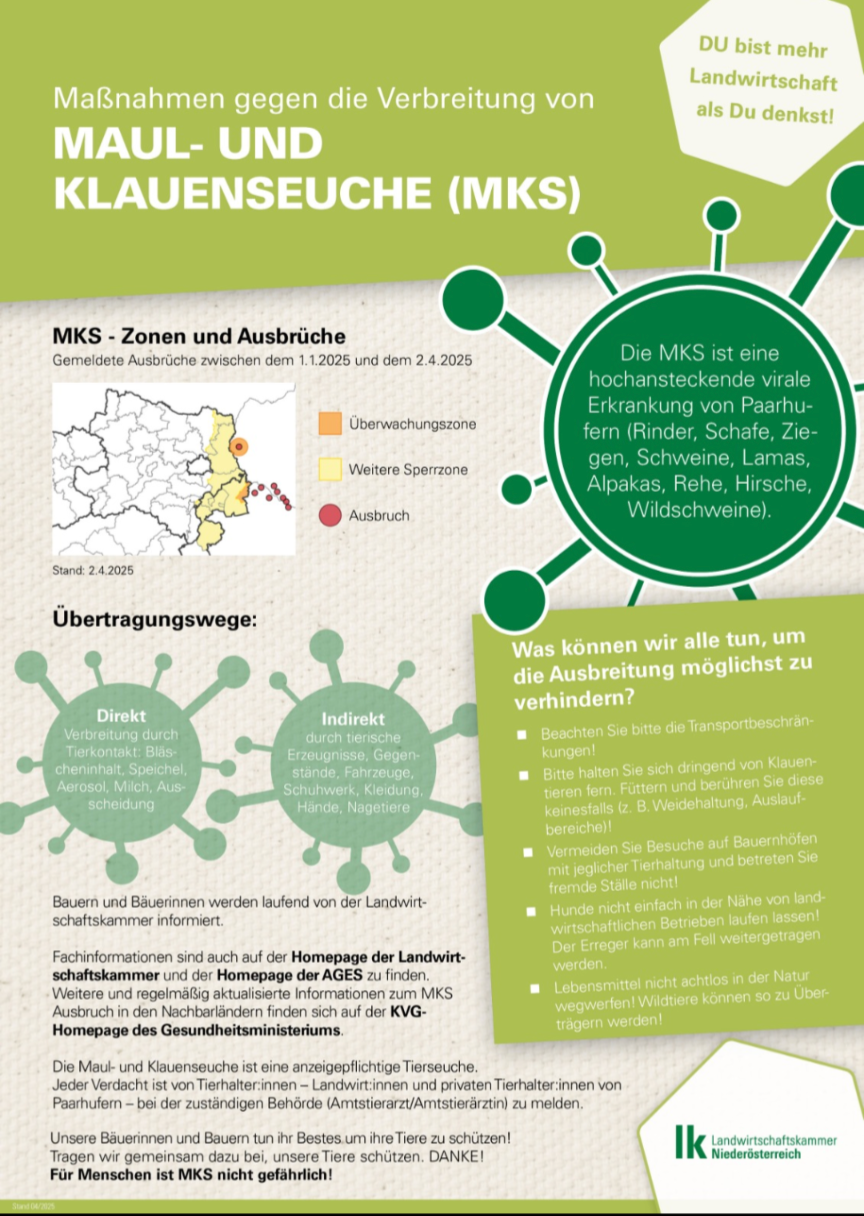 Maul_Klauenseuche_2025.png