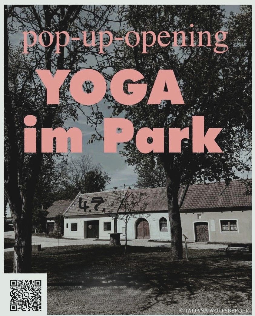 Pop-up_Yoga_in_der_Kellergasse.jpg